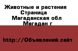  Животные и растения - Страница 2 . Магаданская обл.,Магадан г.